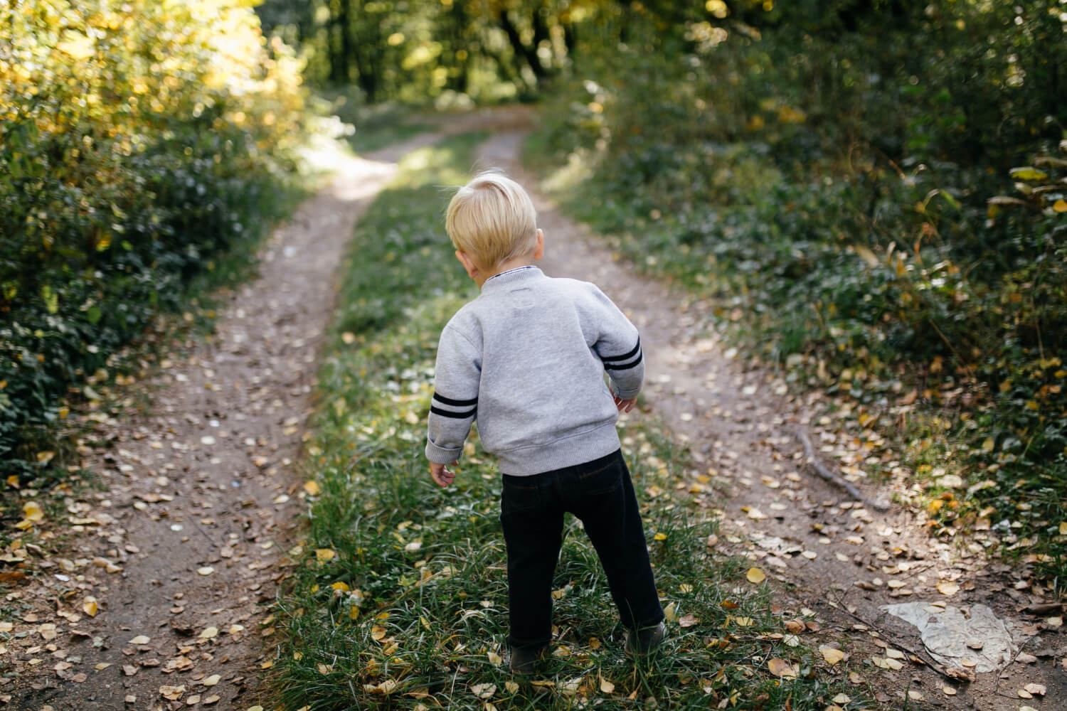 Kleinkind Kleinkind mit blondem Haar steht auf einem Waldweg, der sich in zwei Richtungen teilt, Blick nach vorne.